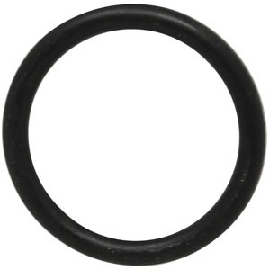 O'RING — Part #EAP-107055