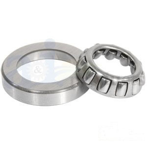 STEERING GEAR BRG & CUP — Part #EAP-120802