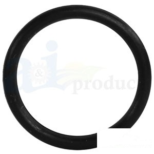 O-RING; 2/PACK — Part #EAP-148479