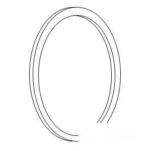 RING GEAR GASKET — Part #EAP-164884