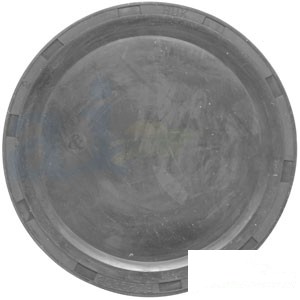 PLUG FRONT AXLE CASE — Part #EAP-173102