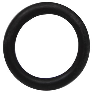 O-RING REPLACEMENT 10 PK — Part #EAP-193378