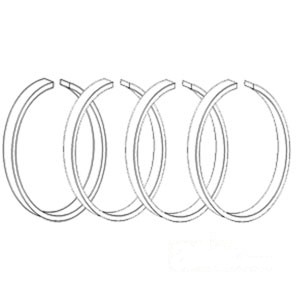 PISTON RING HYD PUMP — Part #EAP-194806