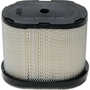 Air Filter, Briggs & Stratton 697029 — Part #EAP-197673