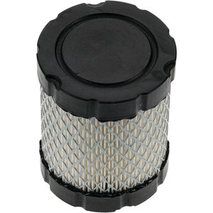 Air Filter, Briggs & Stratton 591583 — Part #EAP-197818