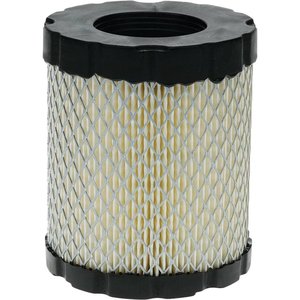Air Filter, Briggs & Stratton 798897 — Part #EAP-197821