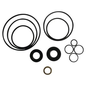 Power Steering Pump Seal Kit, Ford/New Holland 83910500 — Part #EAP-198035