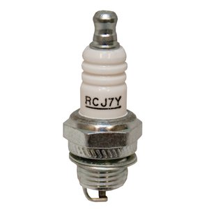 Champion Spark Plug, Champion 859/RCJ7Y, case, 4 — Part #EAP-198668