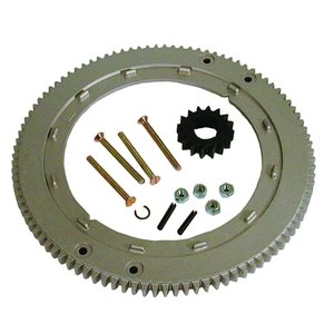 Flywheel Ring Gear, Briggs & Stratton 696537 — Part #EAP-199275