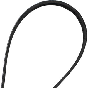 OEM Replacement Belt, Walker 7248 — Part #EAP-203975