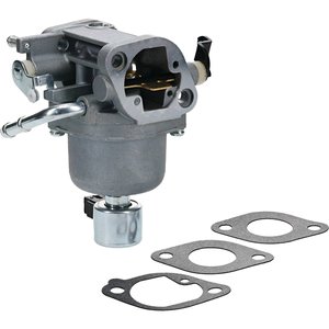 Carburetor, Briggs & Stratton 699807 — Part #EAP-211165